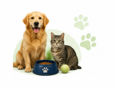 Artigos para animais de estimação